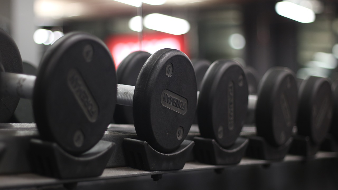 weights  gym  dumbbell free photo
