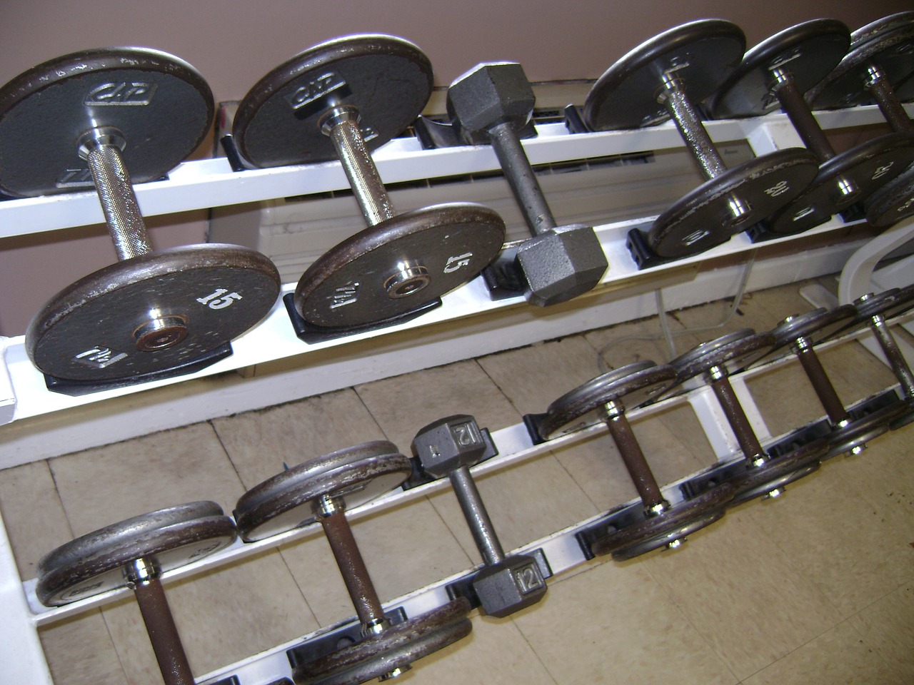 weights dumb bells gym free photo