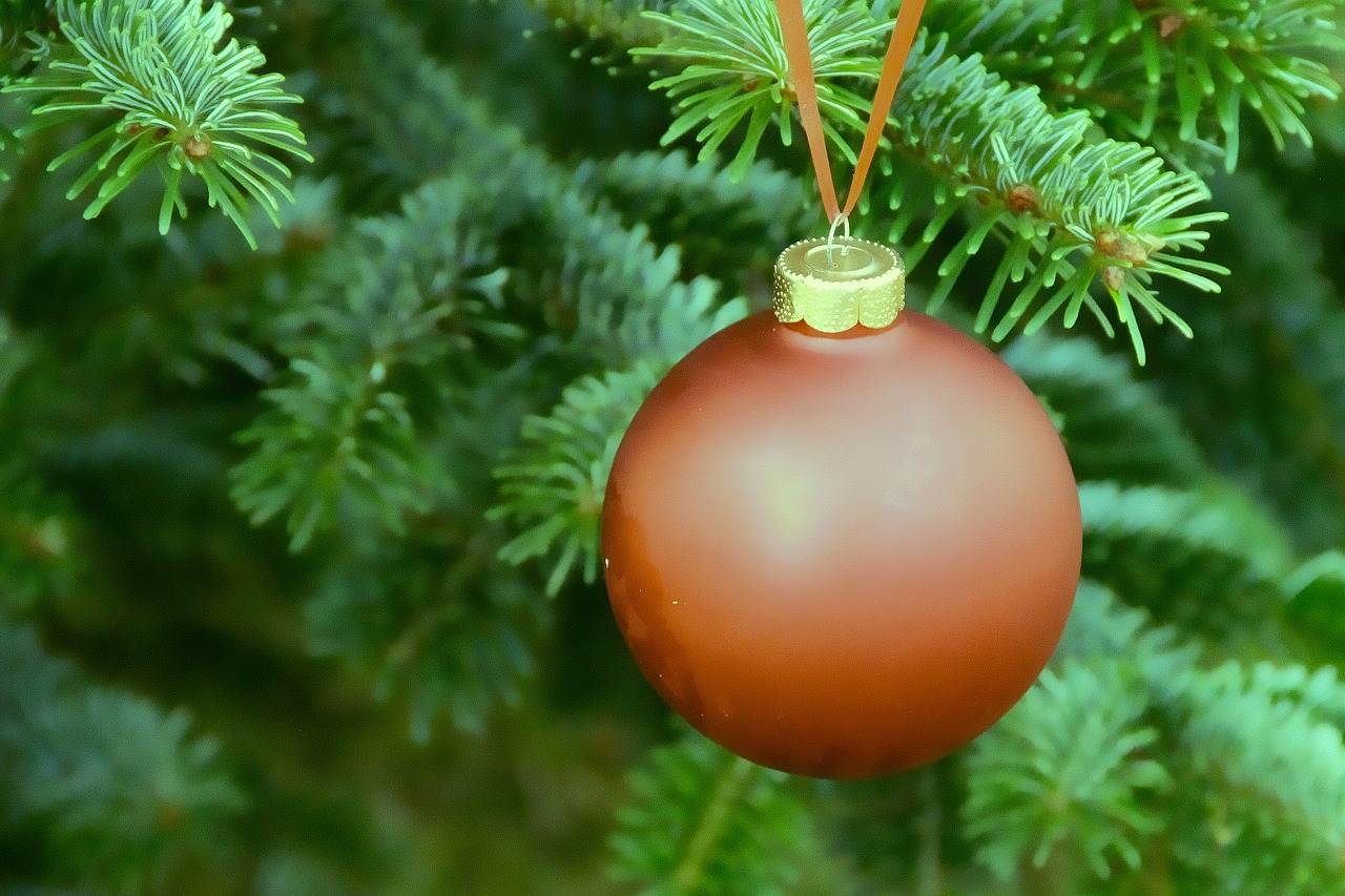 weihnachtsbaumschmuck ball fir free photo