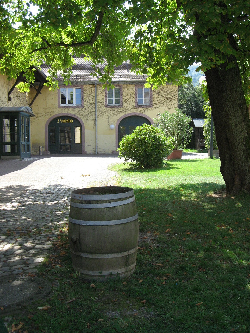 weinhof winery barrel free photo