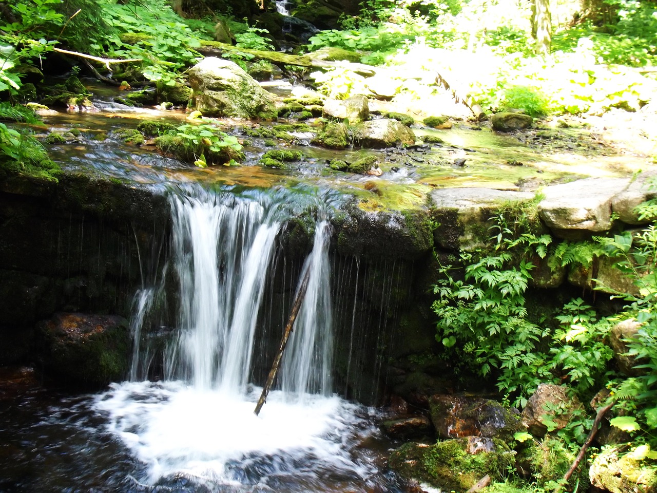 weir water bank free photo