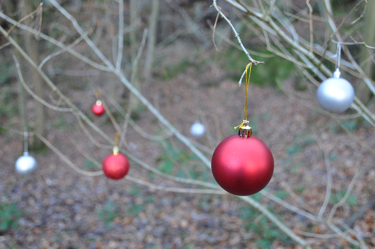 weird  baubles  christmas free photo