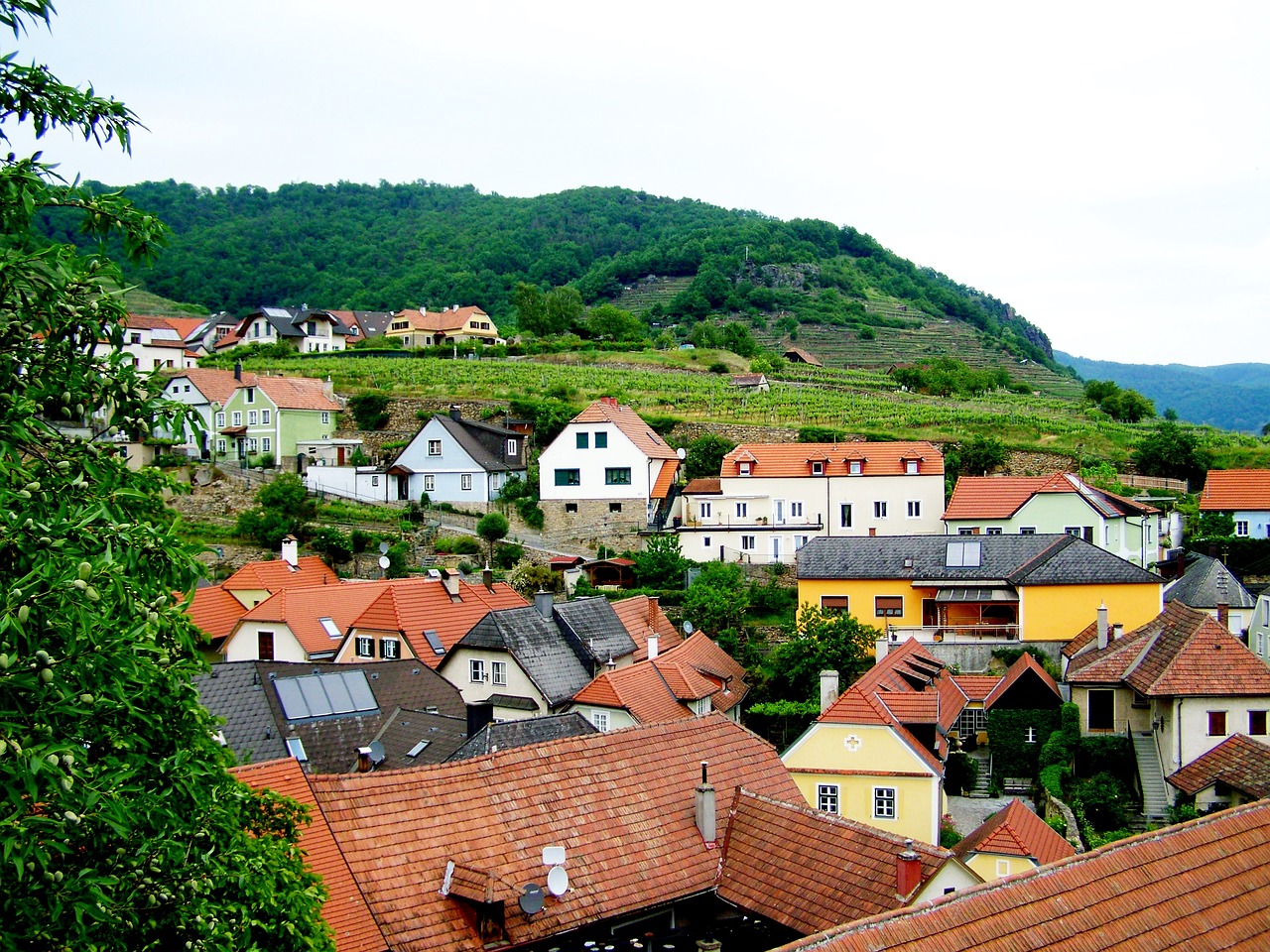 weissen kirchen lower austria landscape free photo