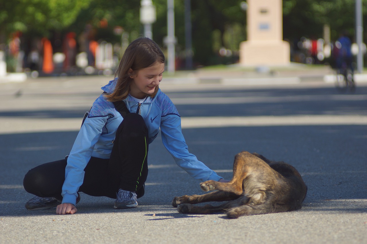 welcome  charity  homeless free photo