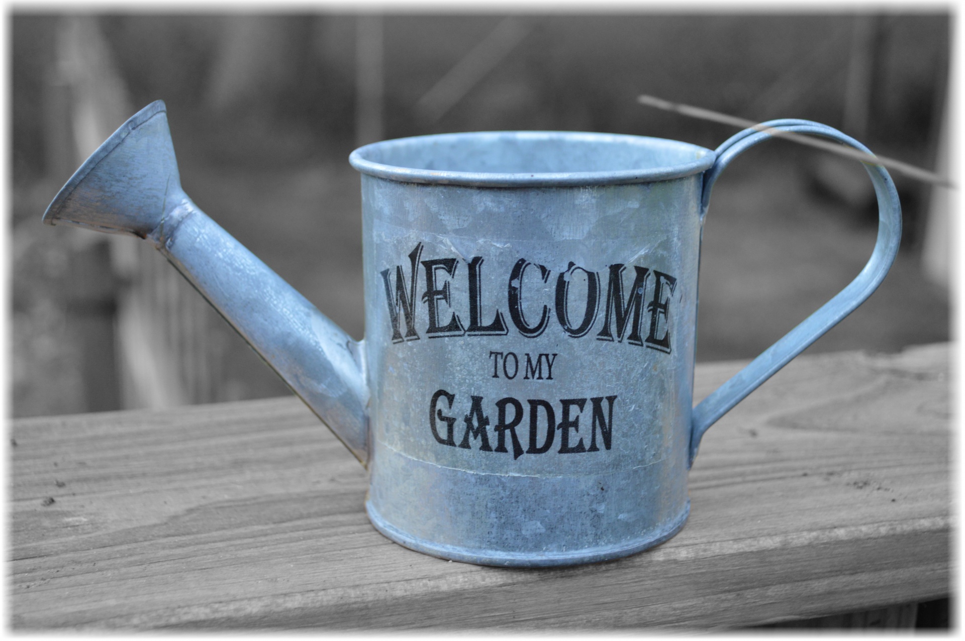 watering can black free photo