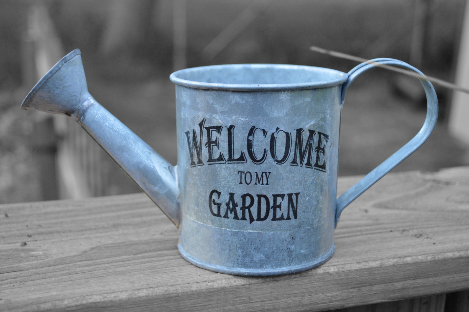 watering can black free photo