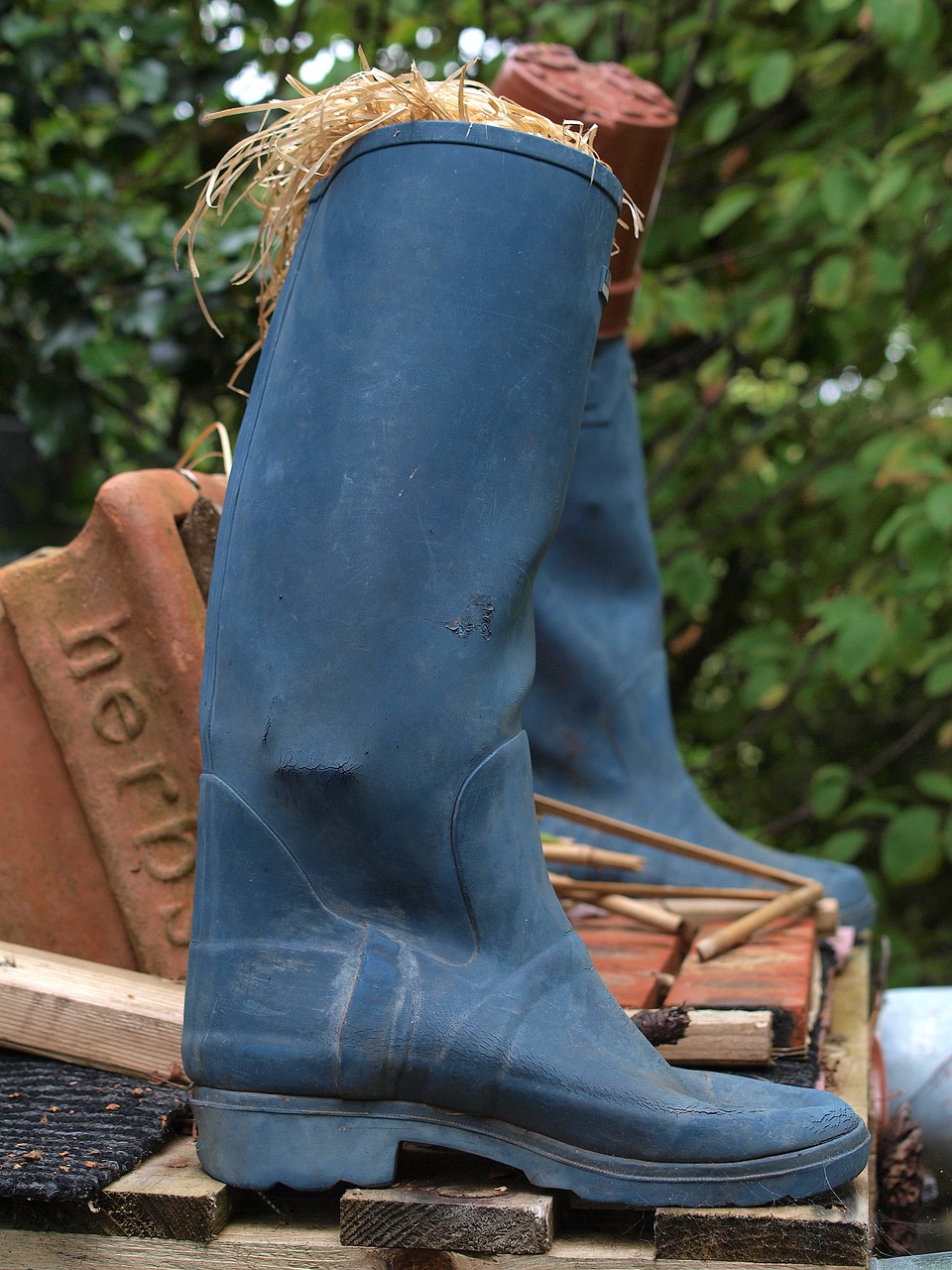 wellies boot garden ornament free photo