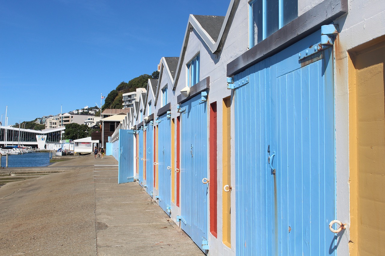 wellington new zealand city free photo