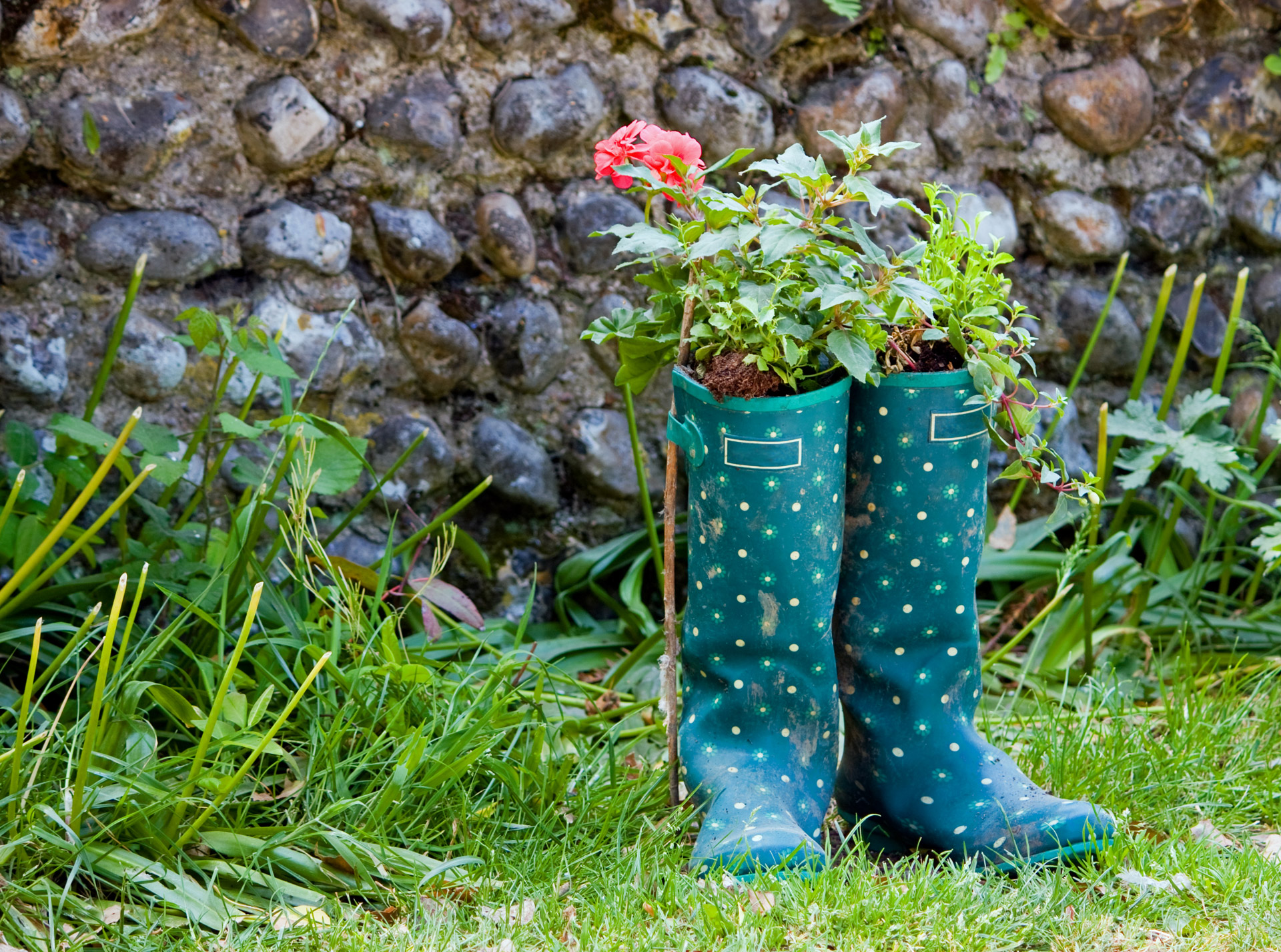 wellington boots boots wellies free photo