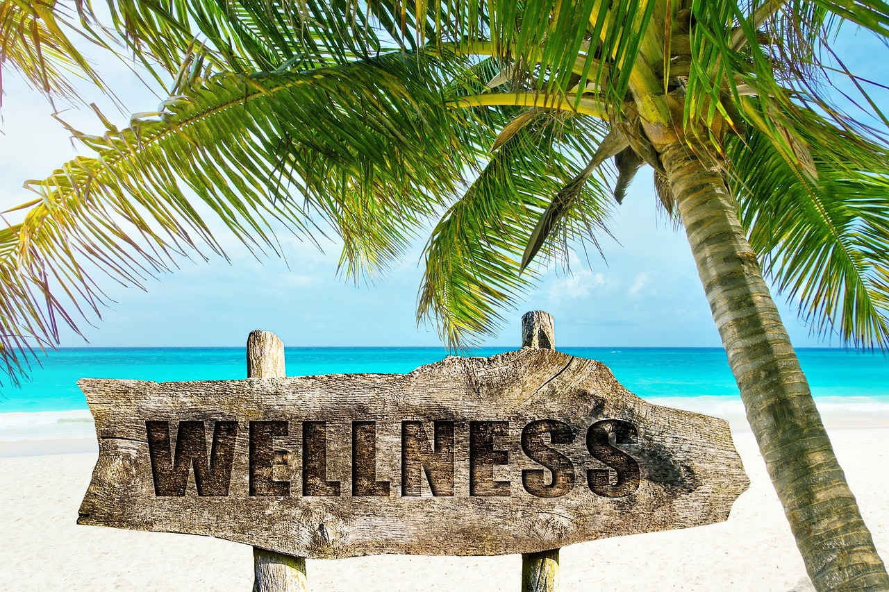 wellness  palm  beach free photo