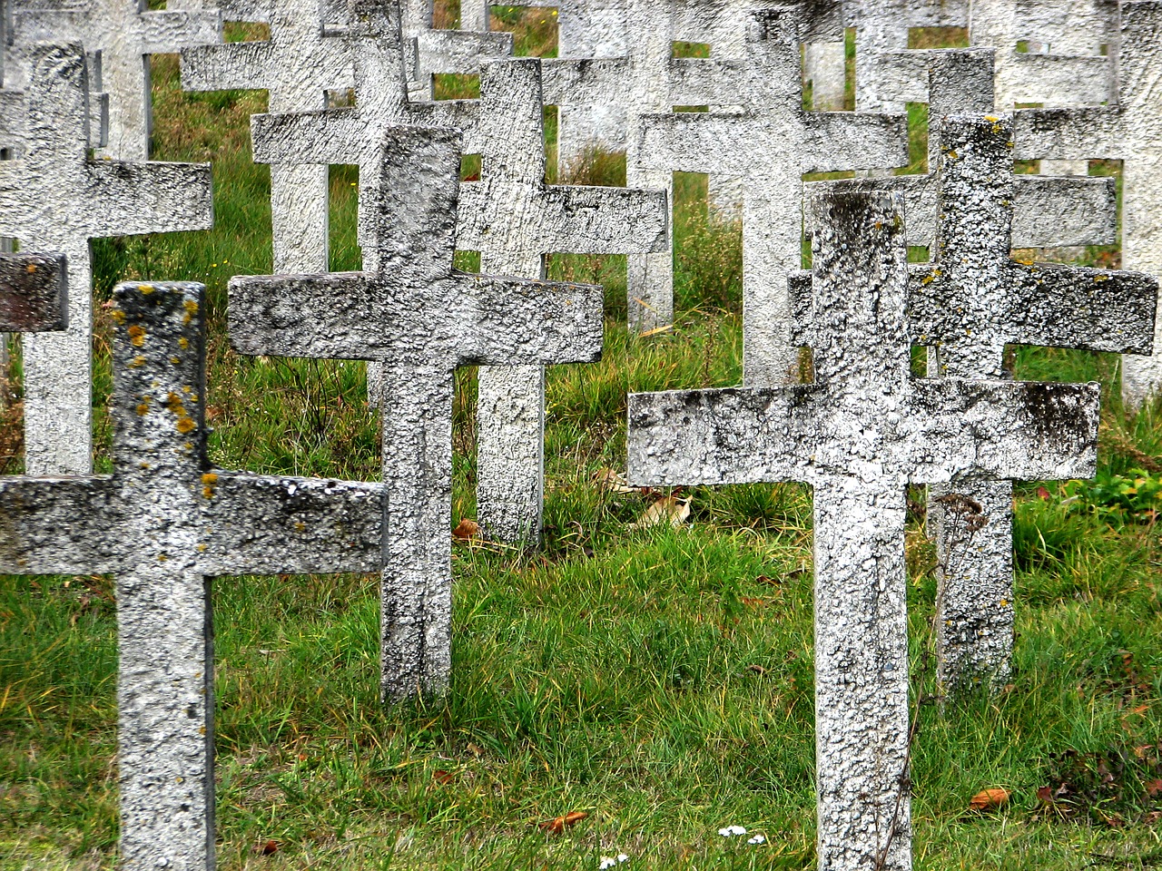 wendland resistance crosses free photo