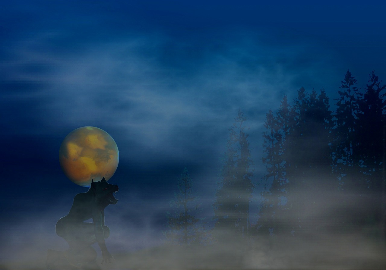werewolf fantasy abstract free photo