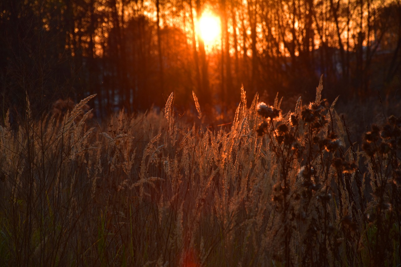 west sunset veninf free photo