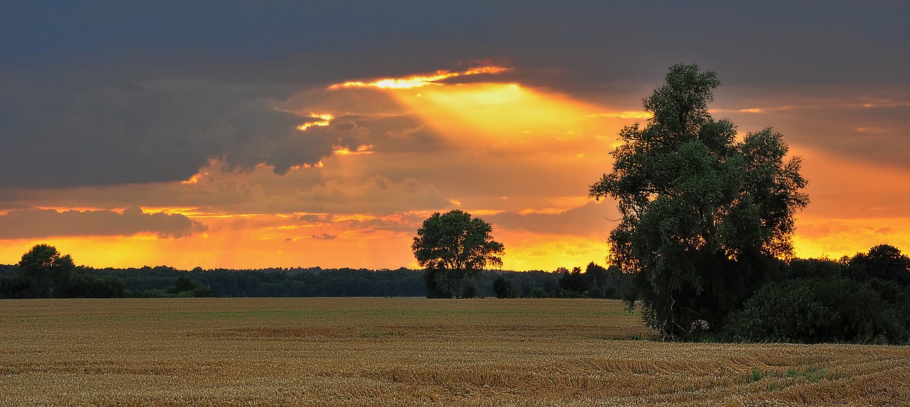 west the rays the sun free photo