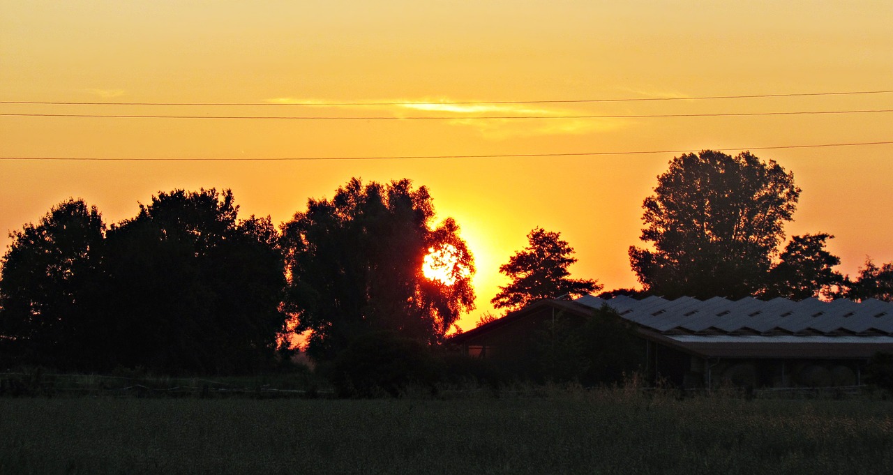 west the sun field free photo