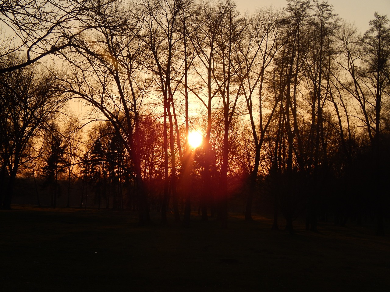 west stromovka spring free photo