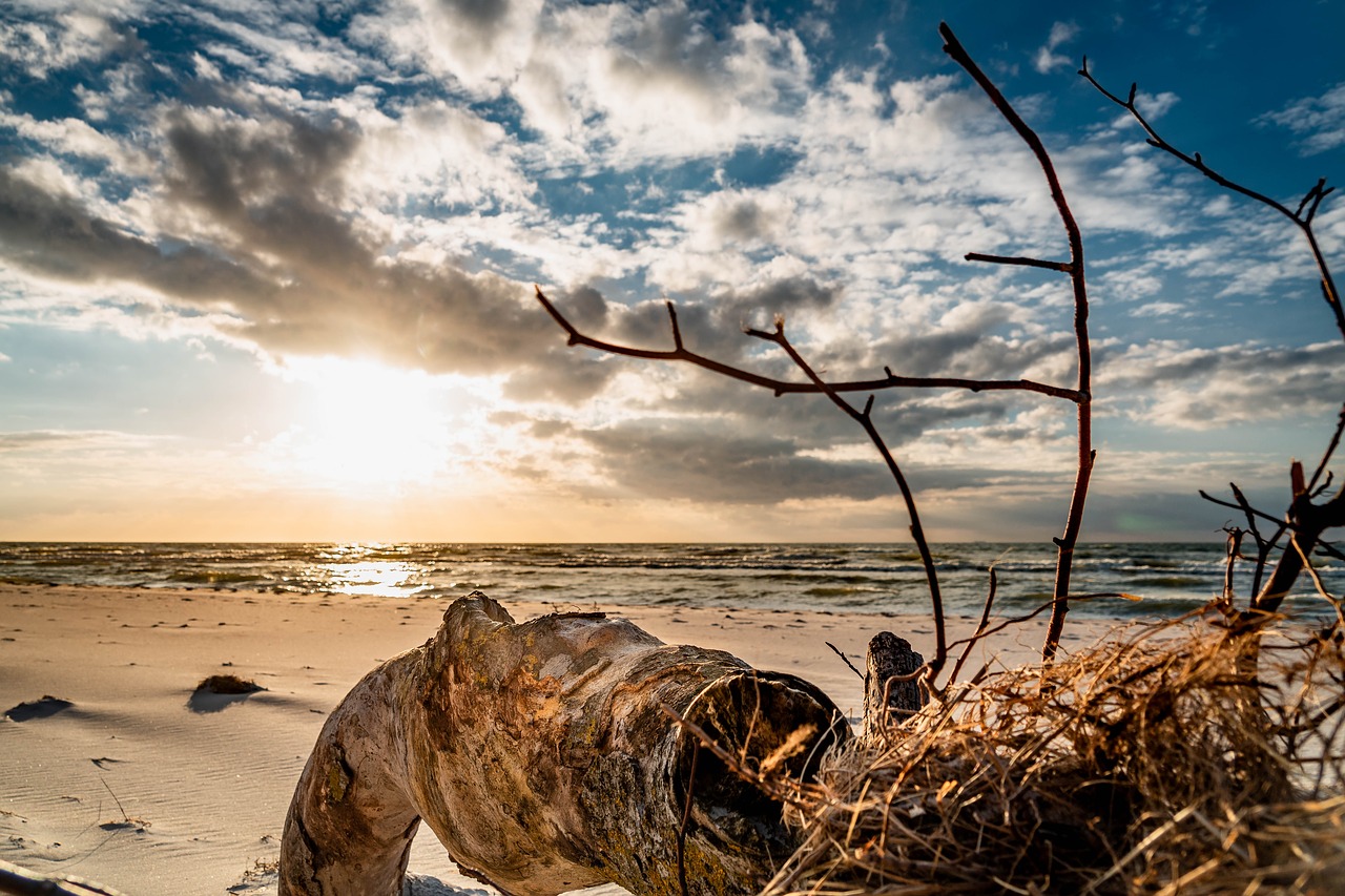 west beach  baltic sea  beach free photo