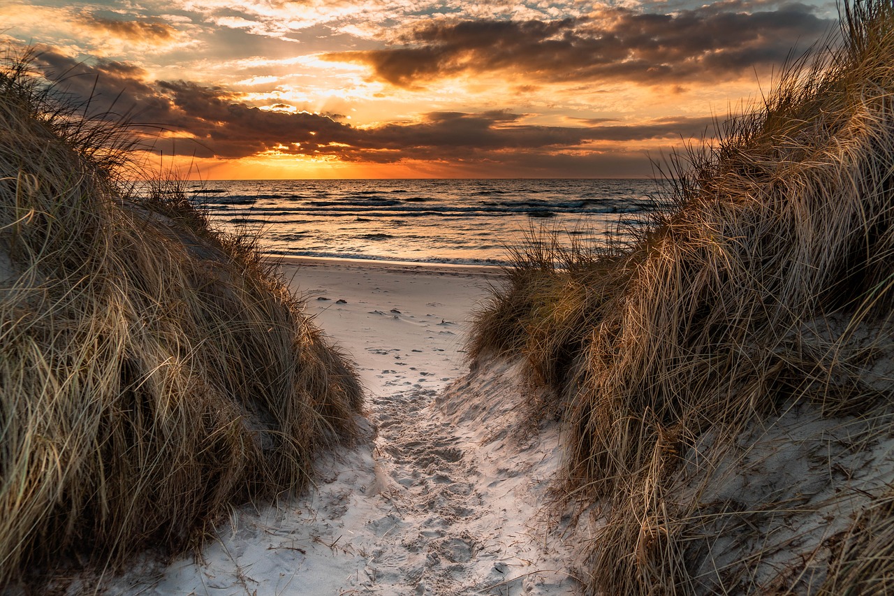 west beach  baltic sea  dunes free photo