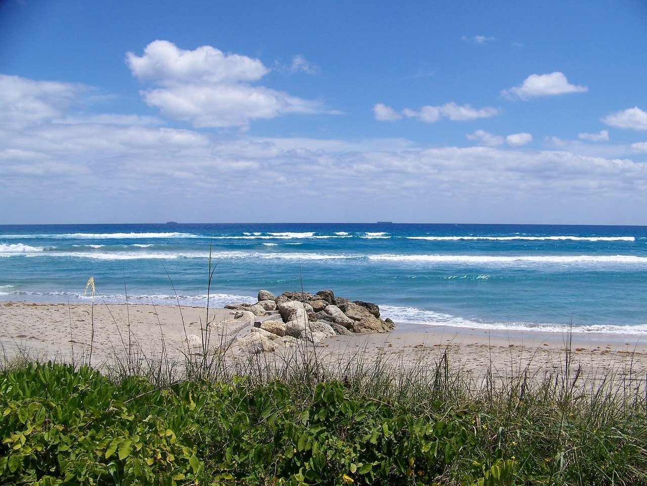 west palm beach beach sand free photo