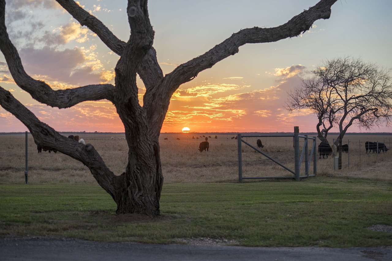 west texas ranch sunset free photo