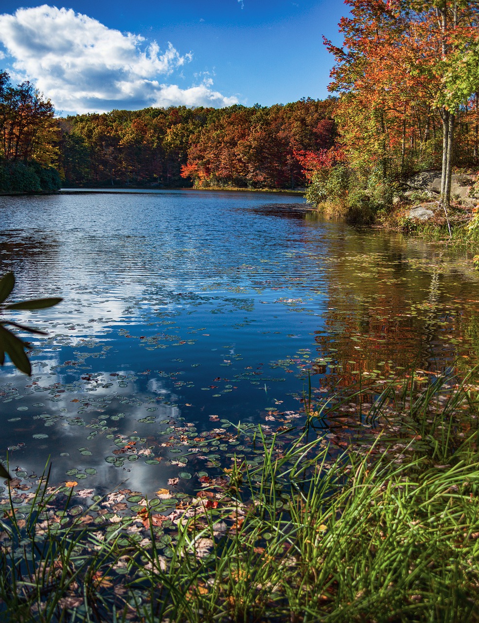 West virginia, lake, wv, water, fall - free image from needpix.com