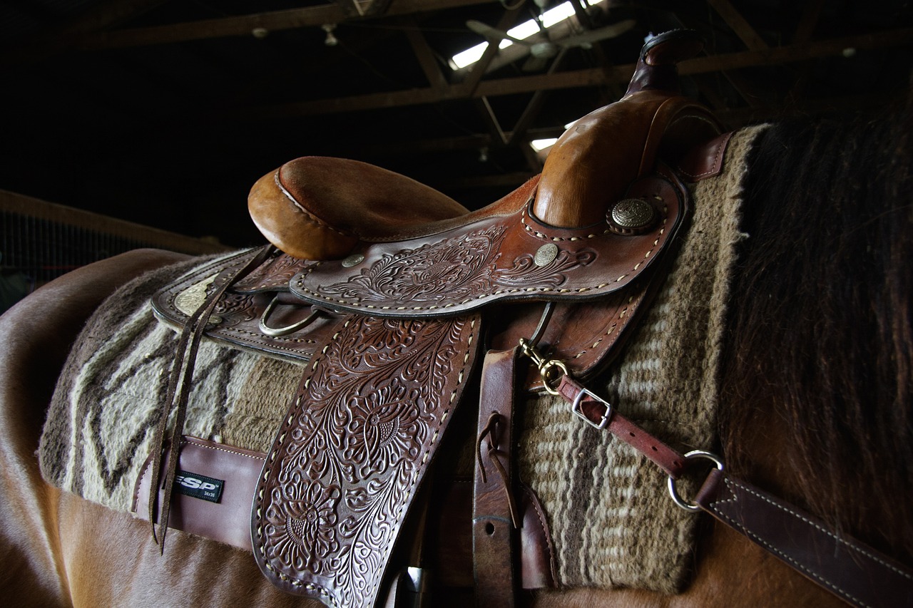 western saddle ride free photo