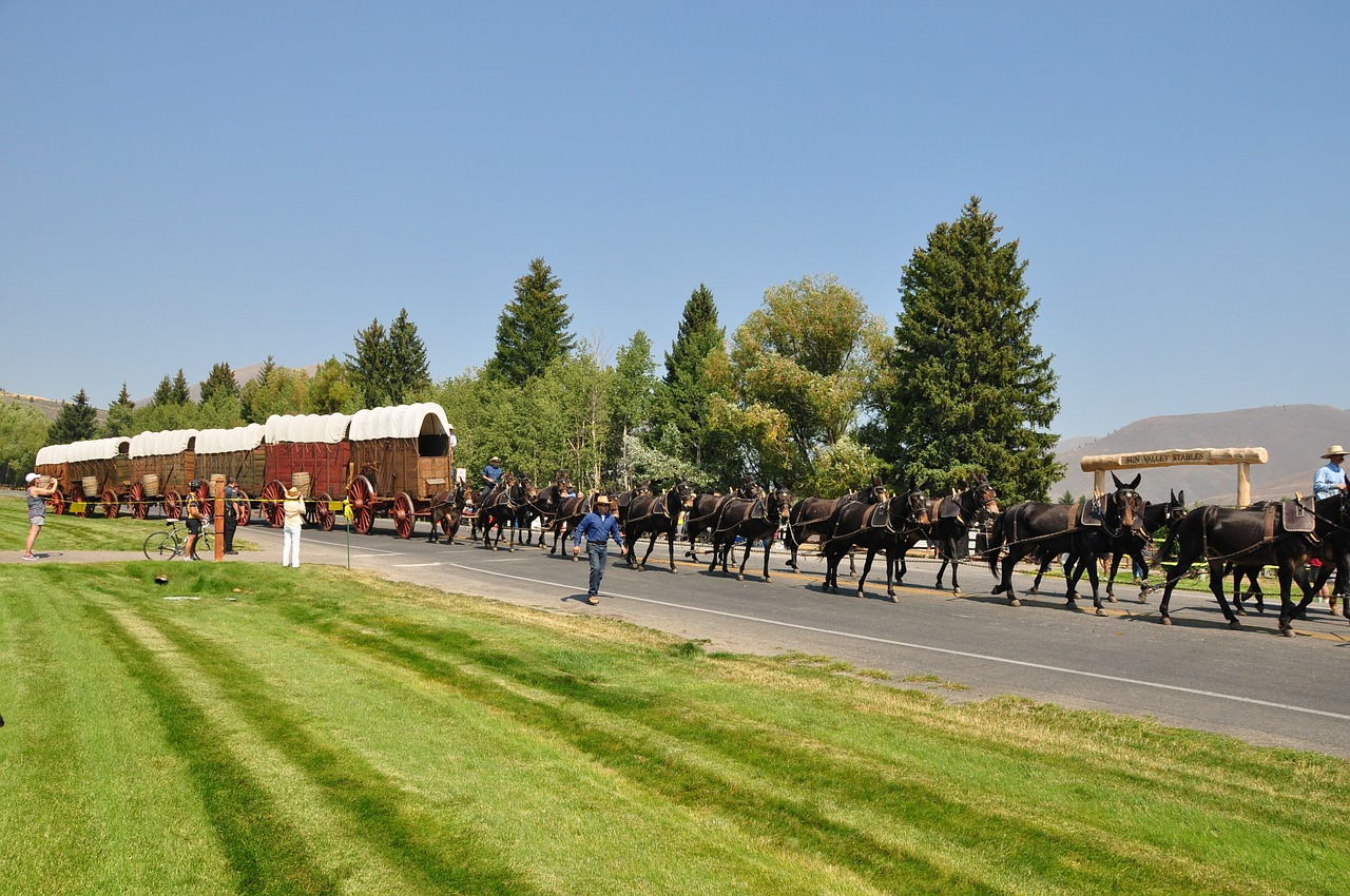 western cowboy wagon free photo