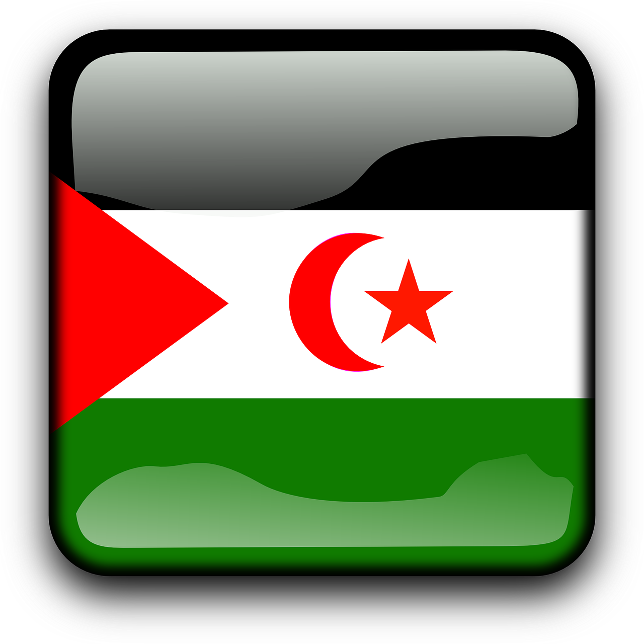 western sahara flag country free photo