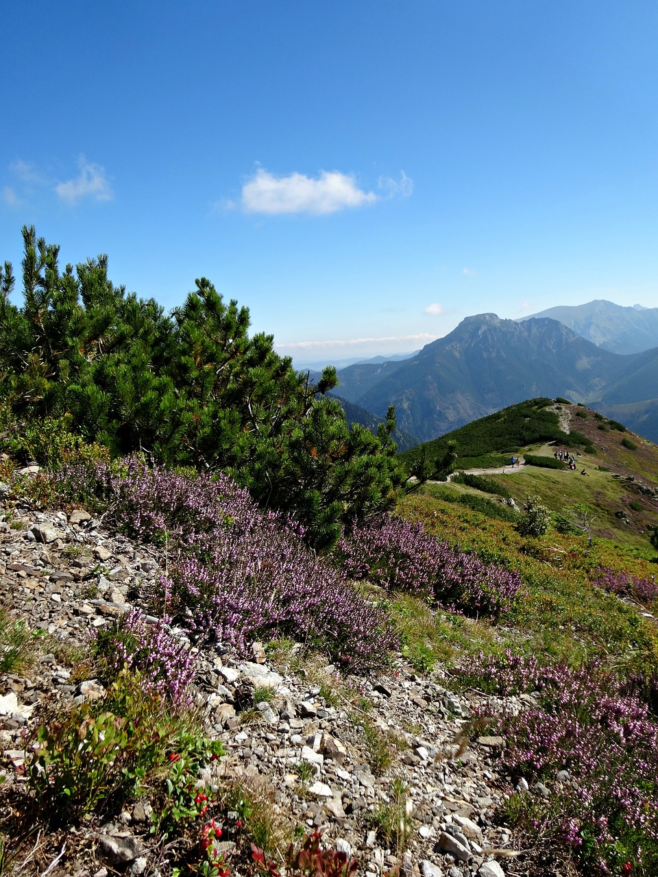 western tatras mountains landscape free photo