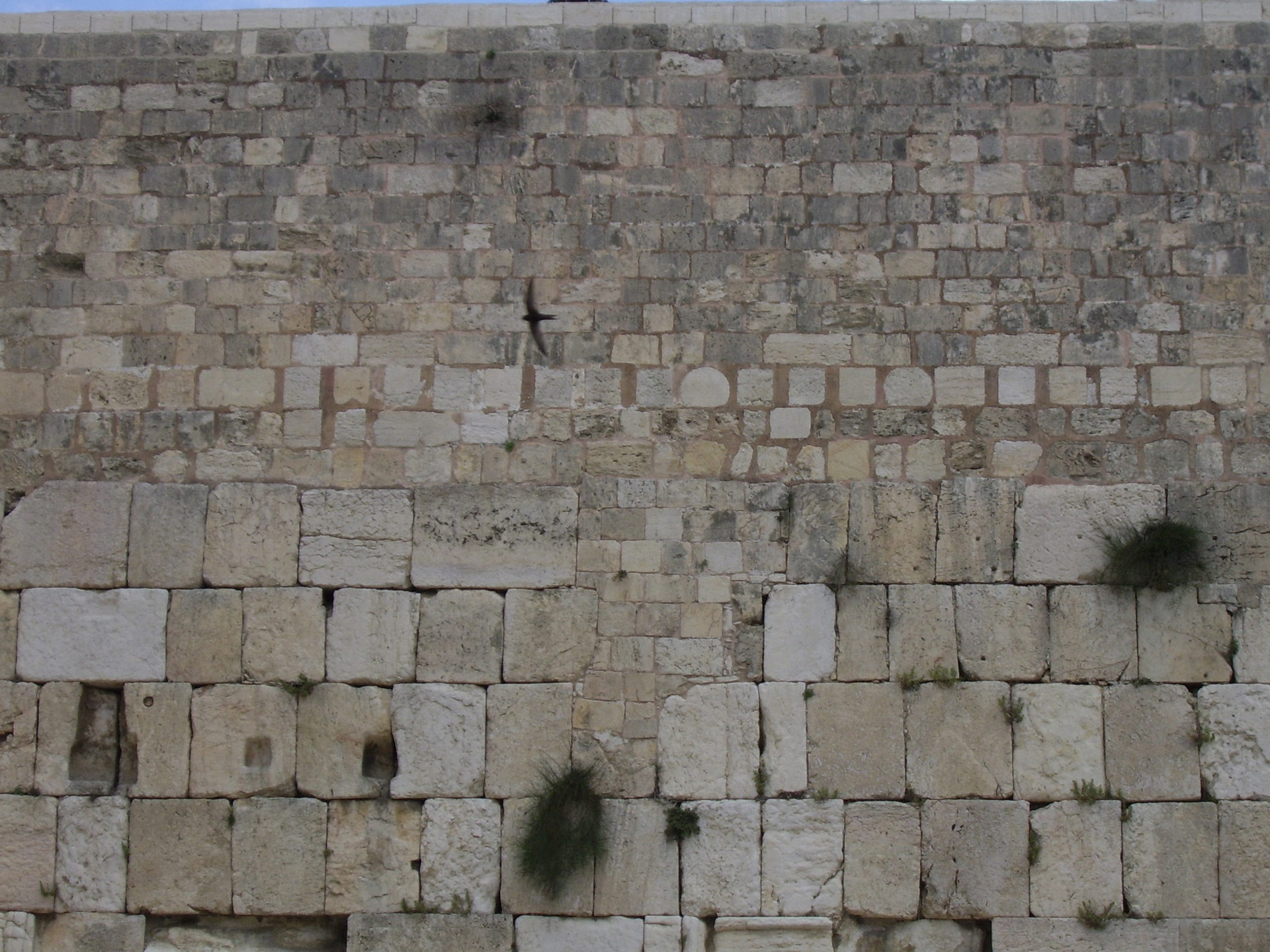 western wall jerusalem free photo
