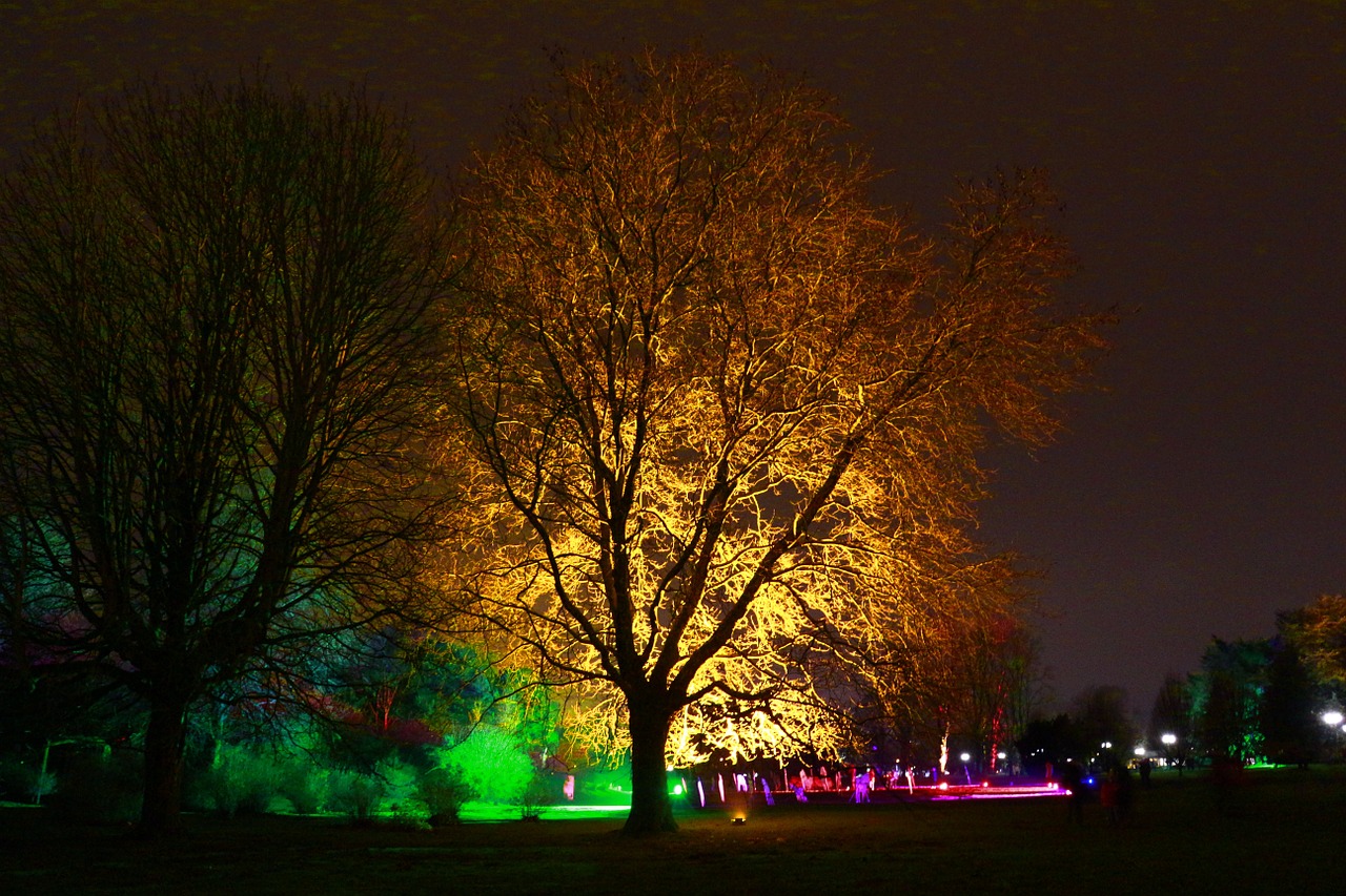 westphalia park winter lights night shot 2013 free photo