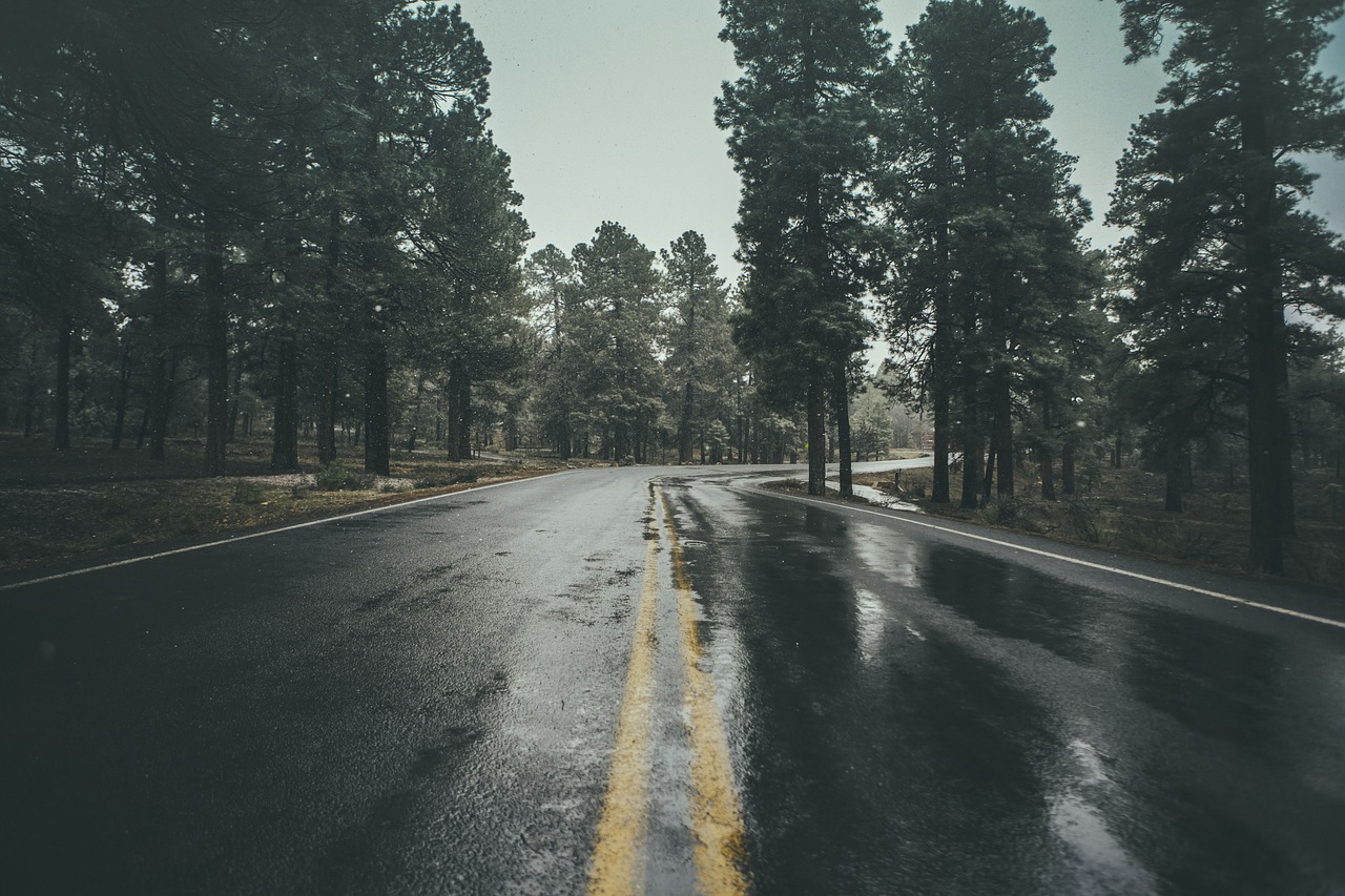 wet road rain free photo