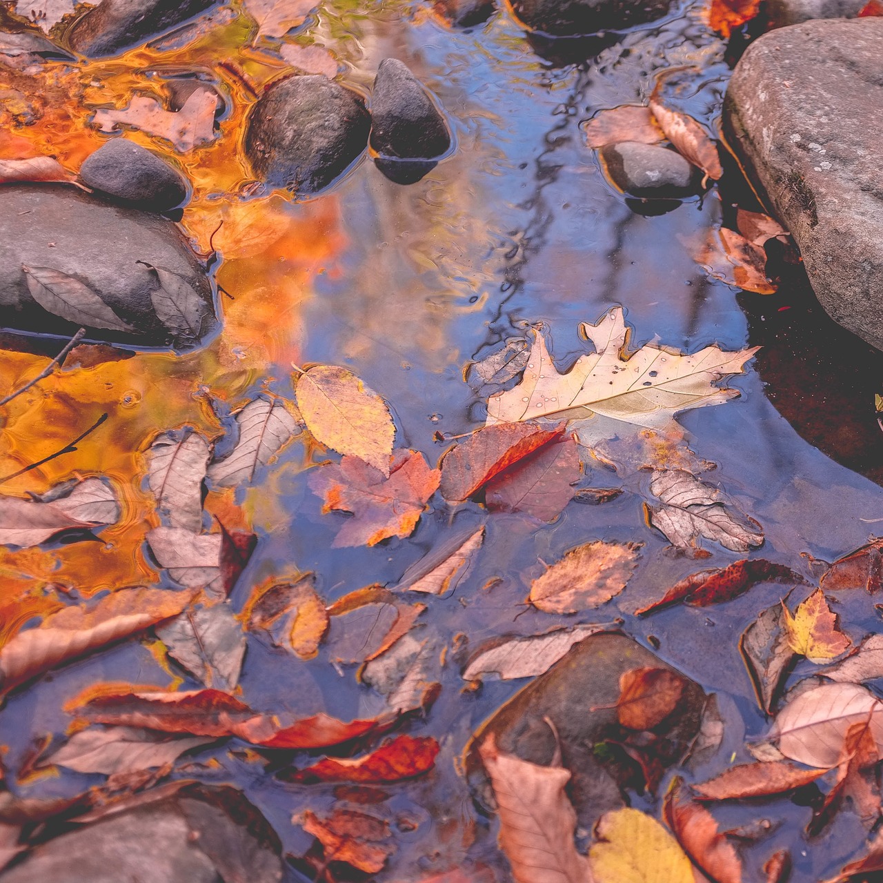 wet rocks river free photo