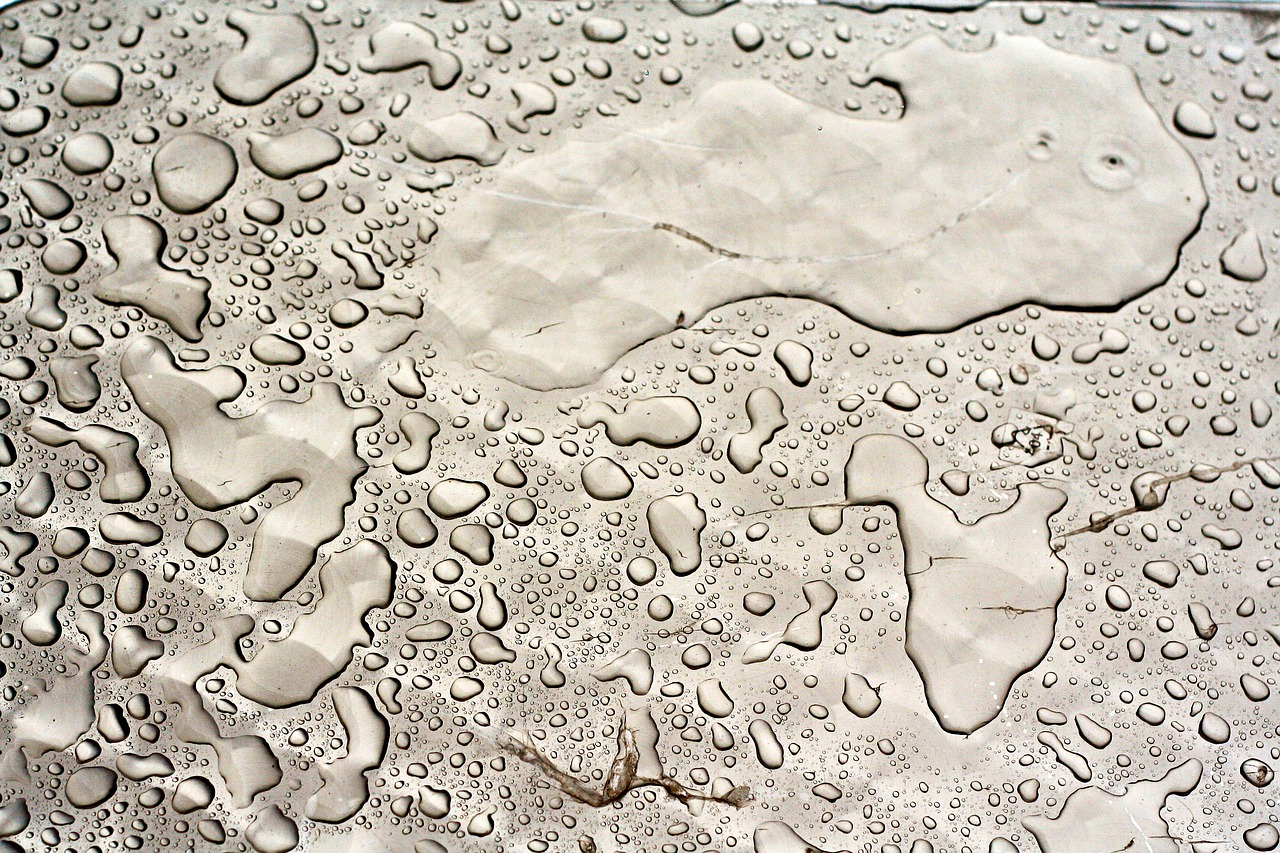 wet background pattern free photo