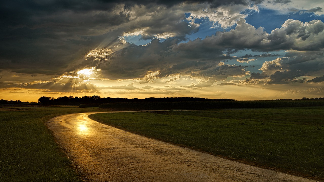 wet  rain  road free photo