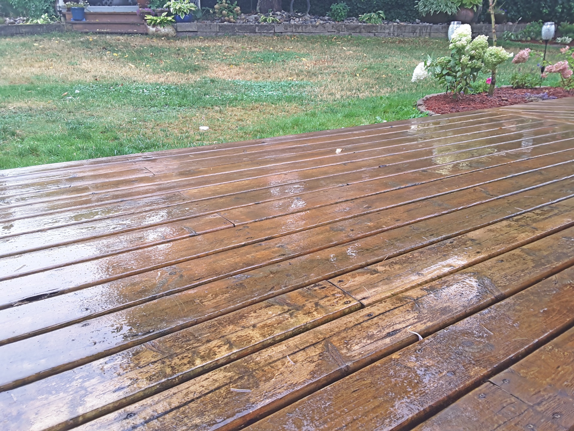 wooden wet deck free photo