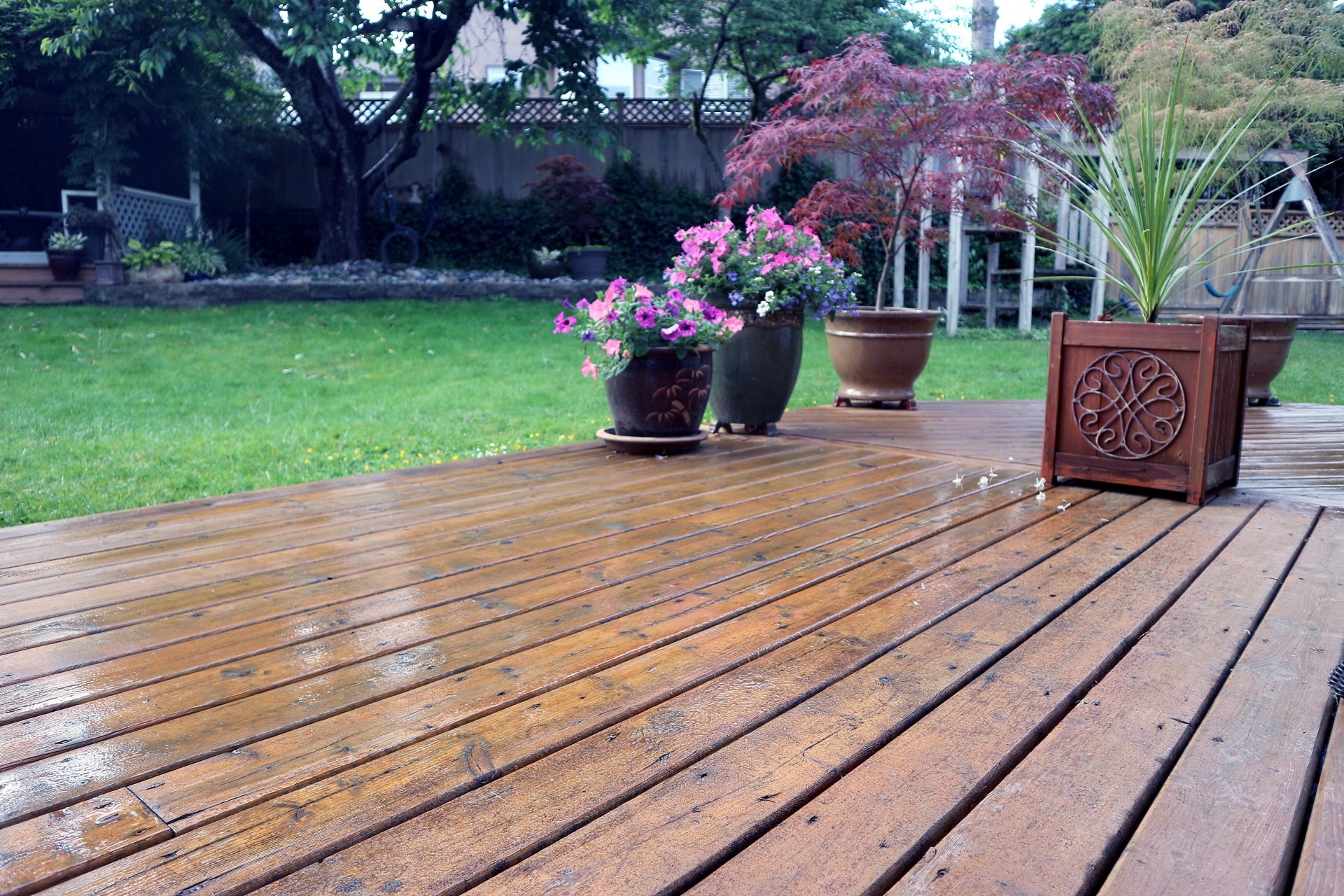wet deck after free photo