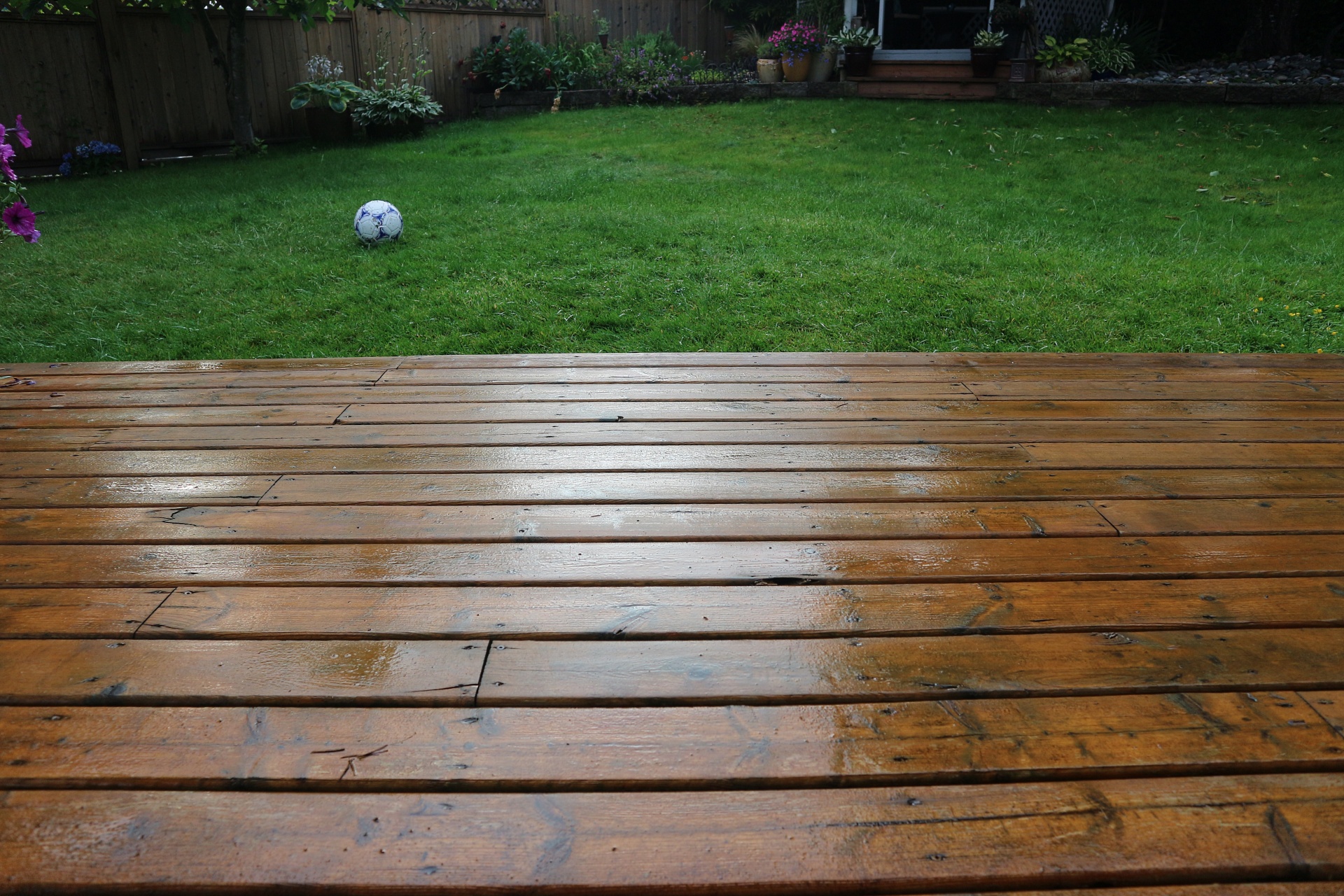 wet deck after free photo