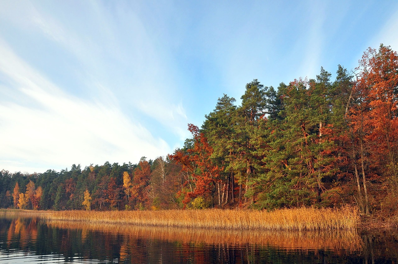 wet lake november autumn free photo