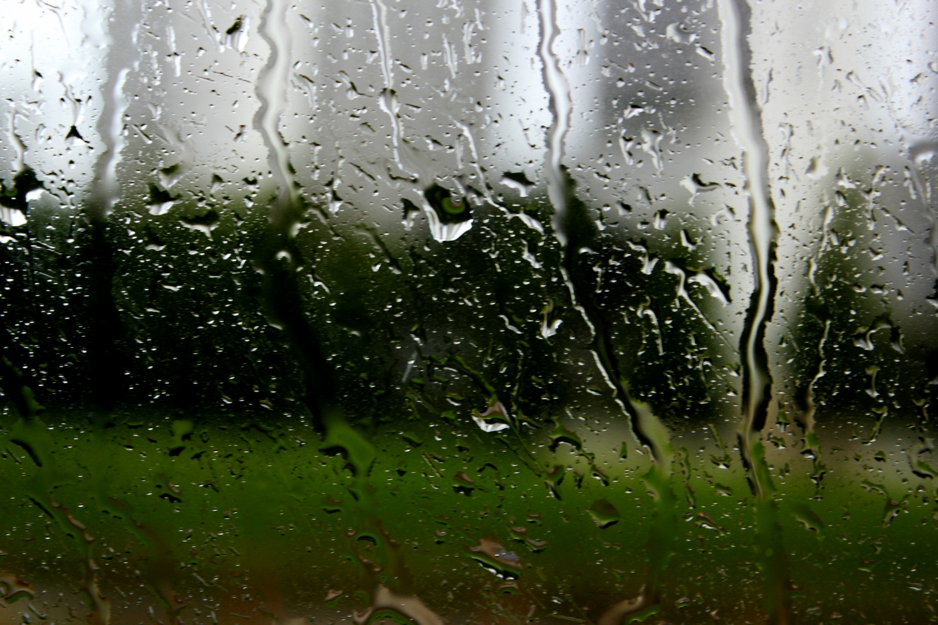 wet window glass free photo