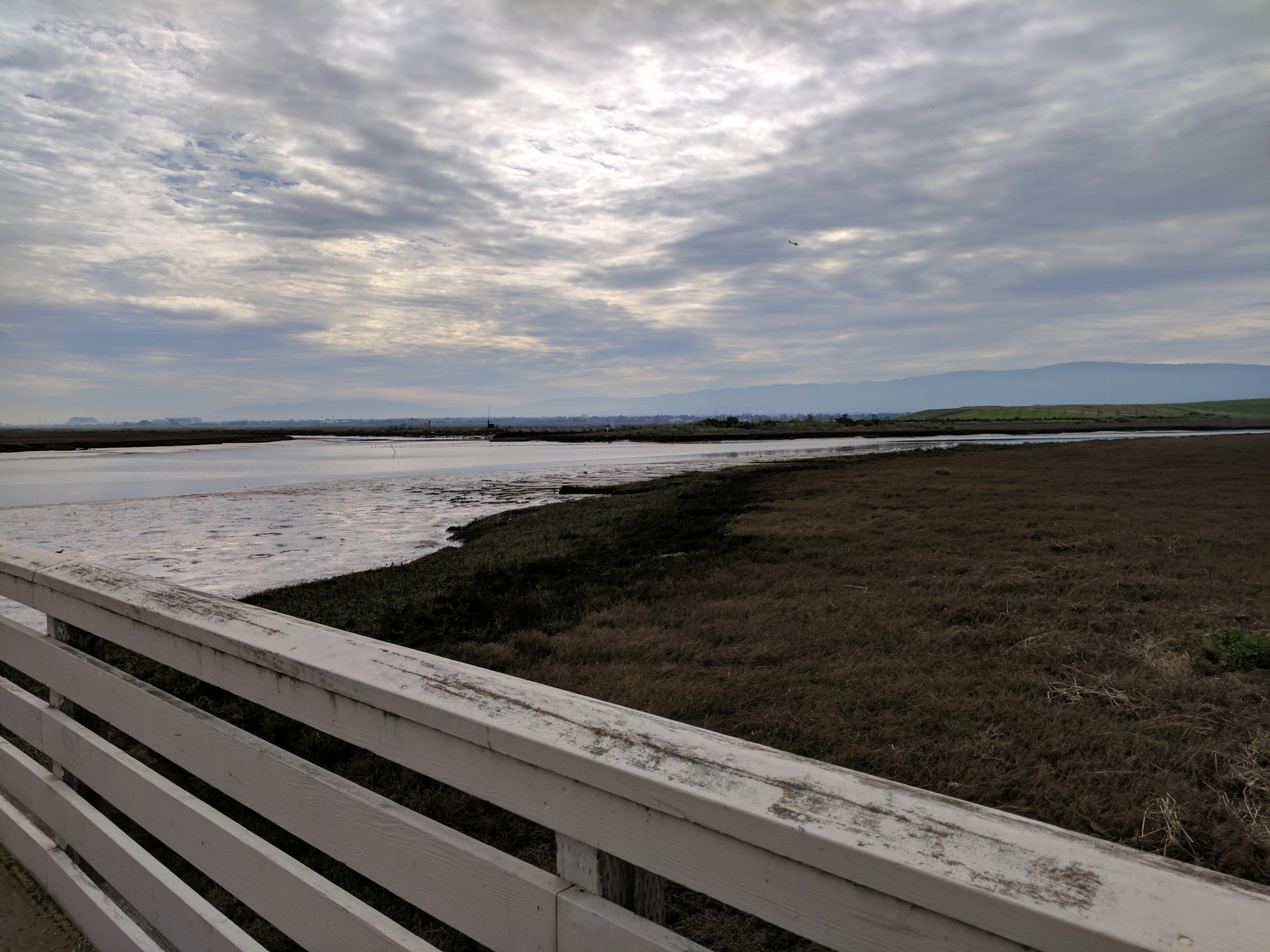 wetland wetlands birds free photo