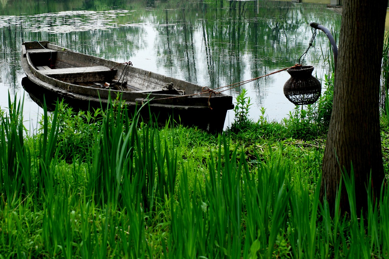 wetlands wooden boat fishing free photo