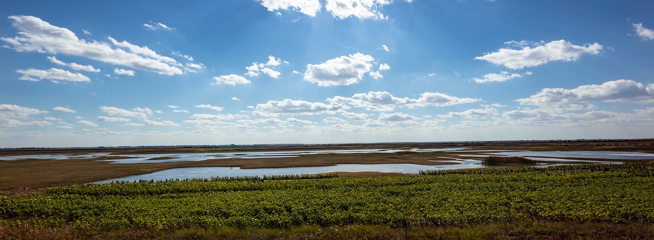 wetlands  the scenery  asia free photo