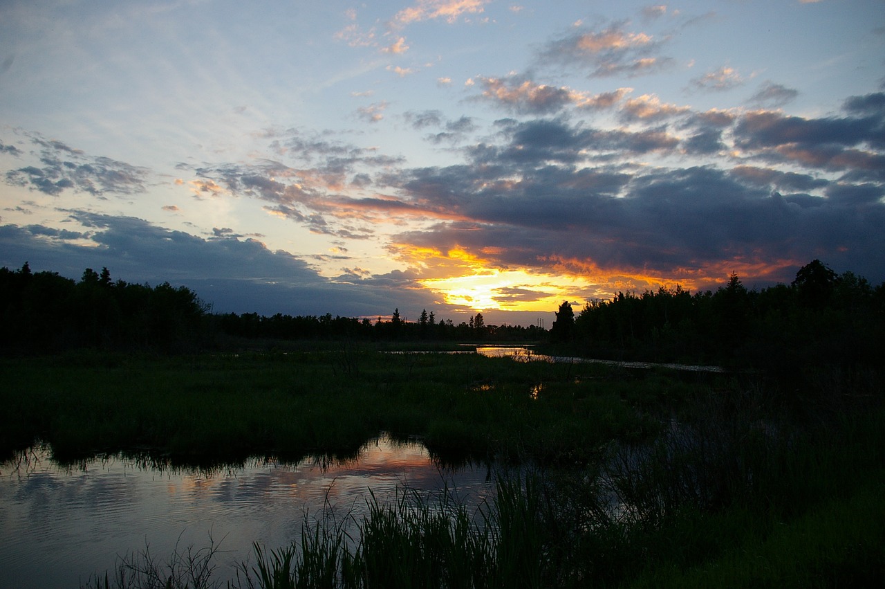 wetlands sunset water free photo