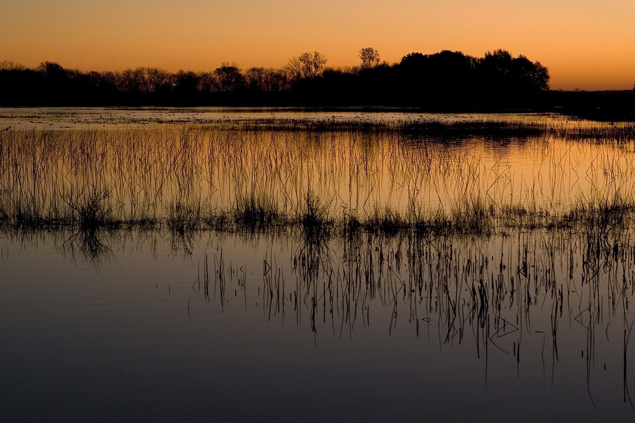 wetlands sunset landscape free photo