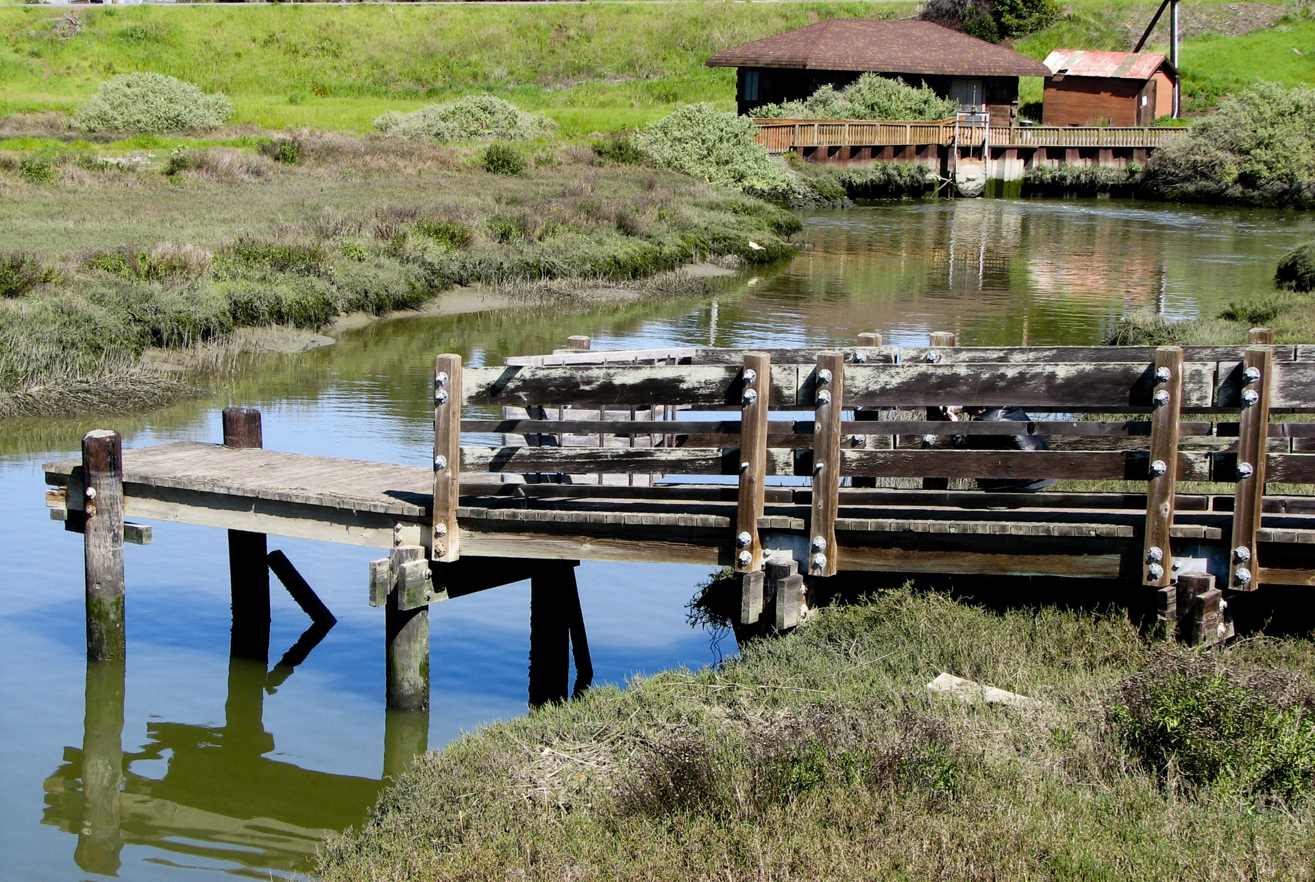 wetlands water reflection free photo