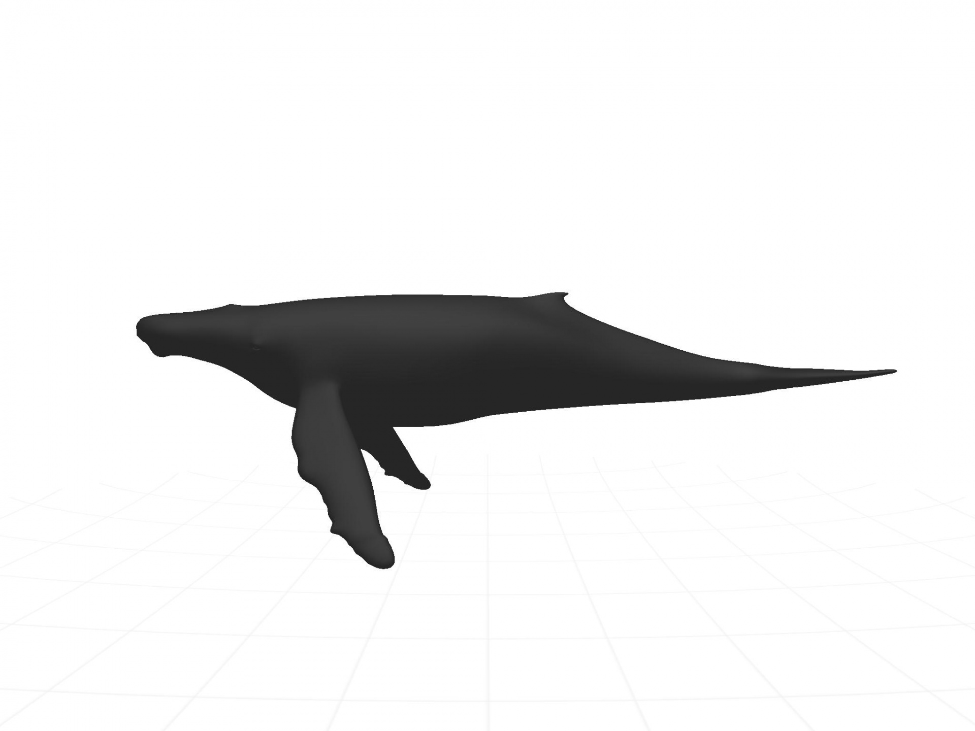 whale silhouette black free photo