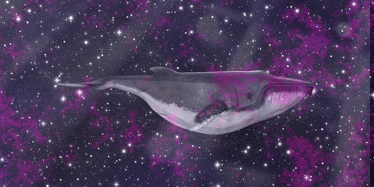 whale space science fiction free photo