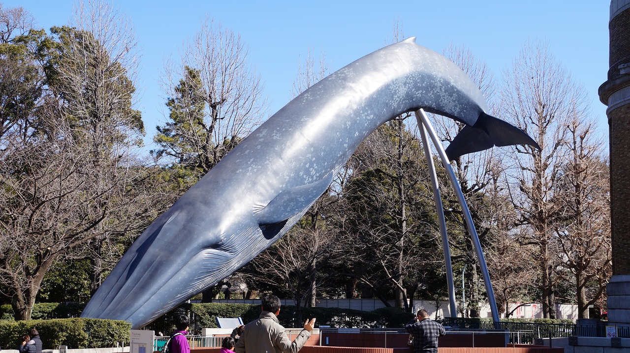 whale museum sculpture free photo