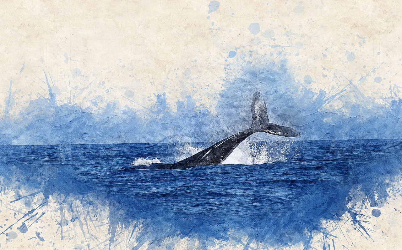 whale watercolor sea free photo